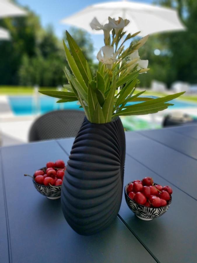 Villa Destiny Nedescina, Istrien, Kroatien 外观 照片