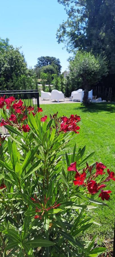 Villa Destiny Nedescina, Istrien, Kroatien 外观 照片