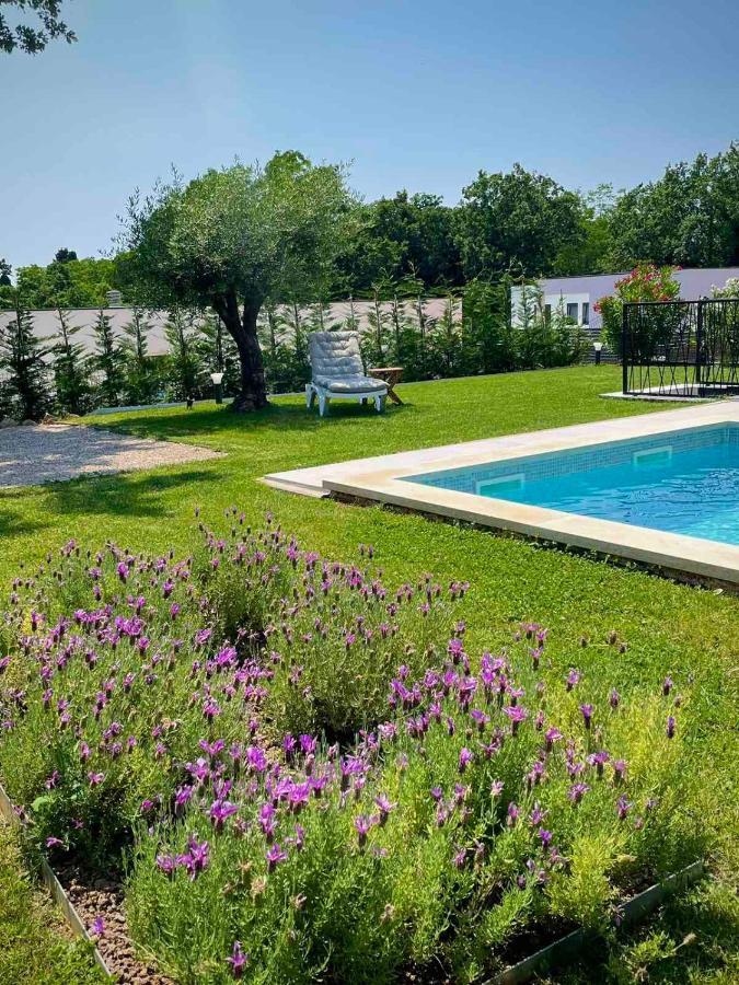 Villa Destiny Nedescina, Istrien, Kroatien 外观 照片