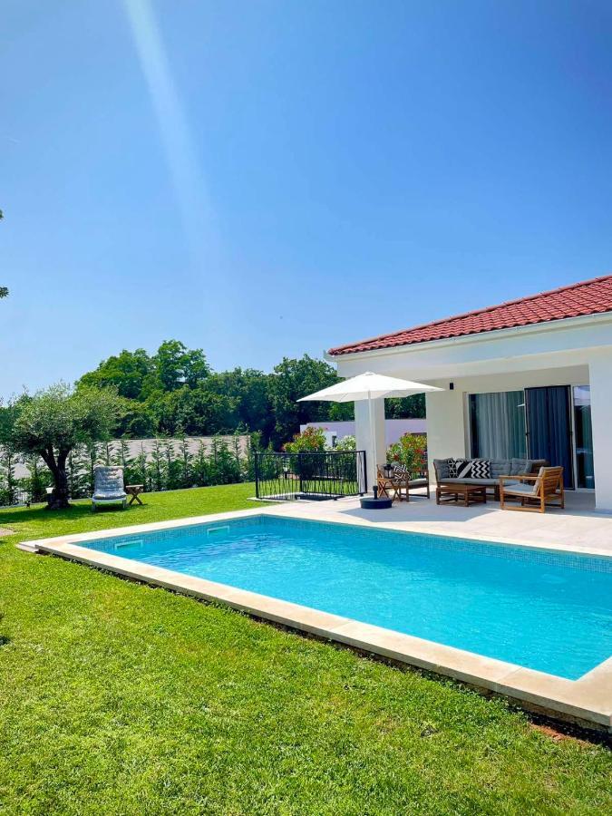 Villa Destiny Nedescina, Istrien, Kroatien 外观 照片